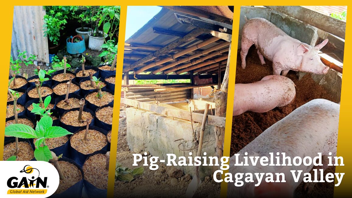 From Struggling to Surviving: How Pig-Raising is Transforming Lives in Cagayan Valley