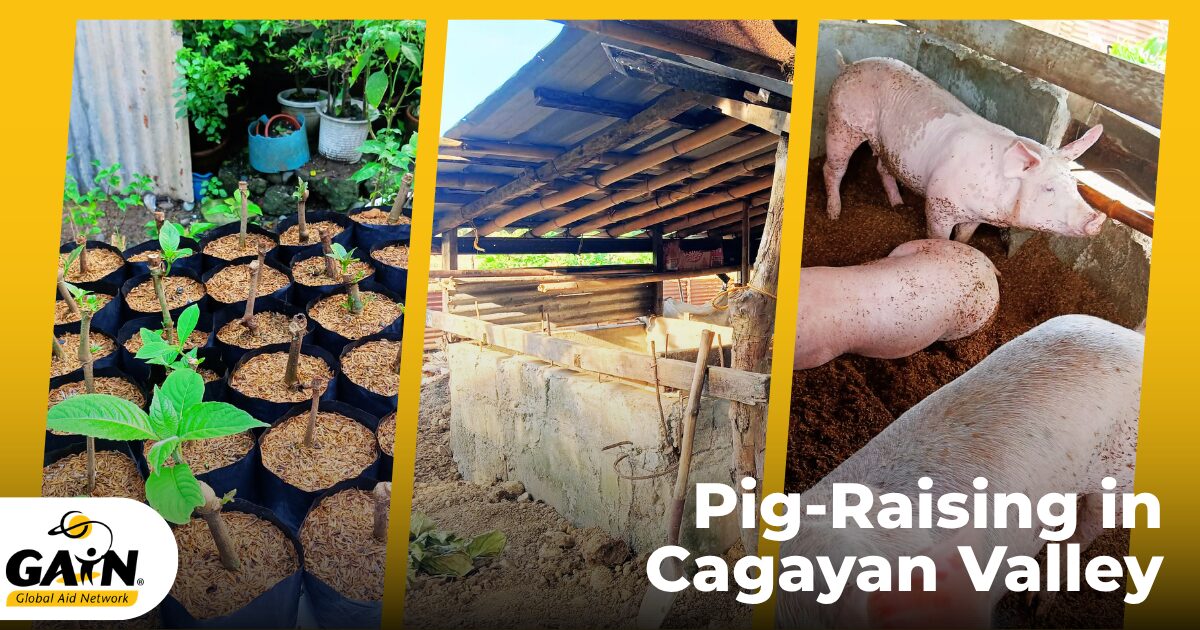 From Struggling to Surviving: How Pig-Raising is Transforming Lives in Cagayan Valley